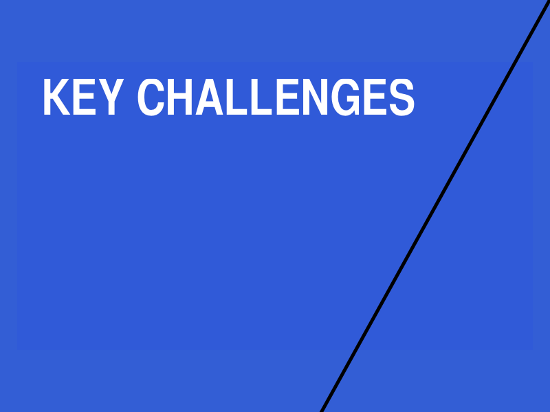 Cameras Everywhere: Key Challenges