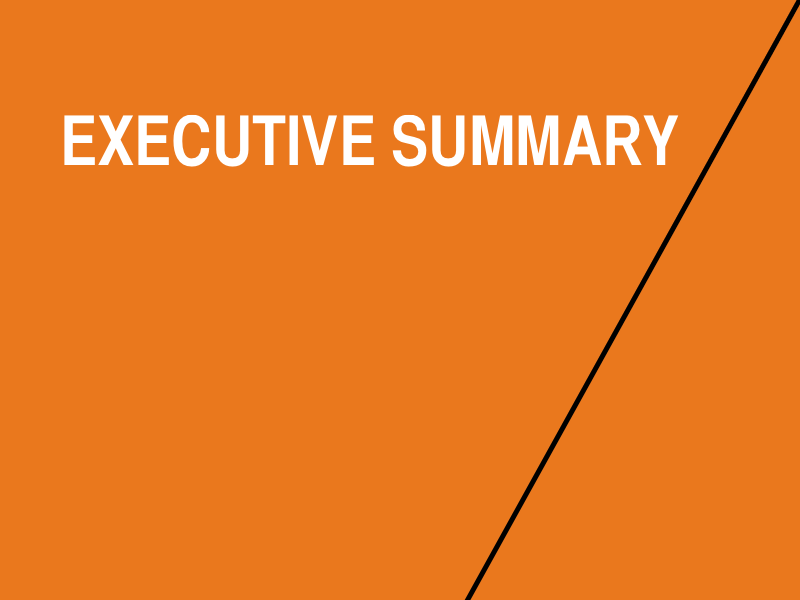 Cameras Everywhere: Executive Summary